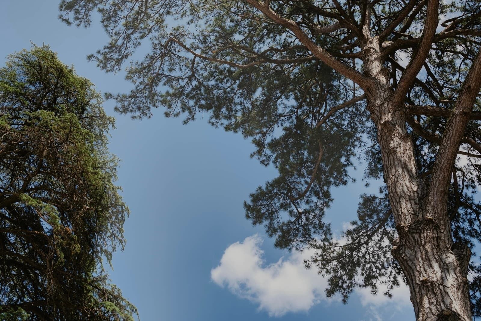 frontend.night.services